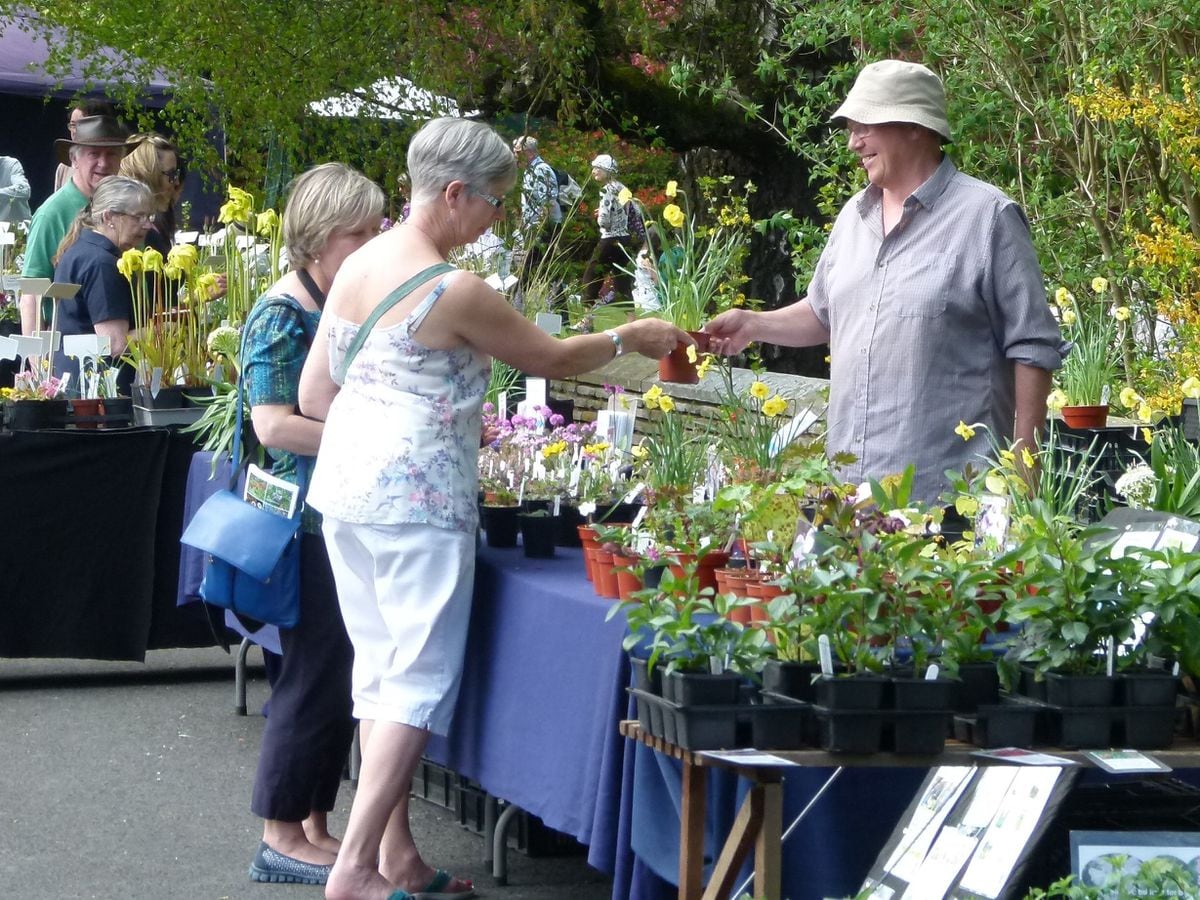 Plant Hunter's Fair returns at Sugnall Walled Garden | Shropshire Star