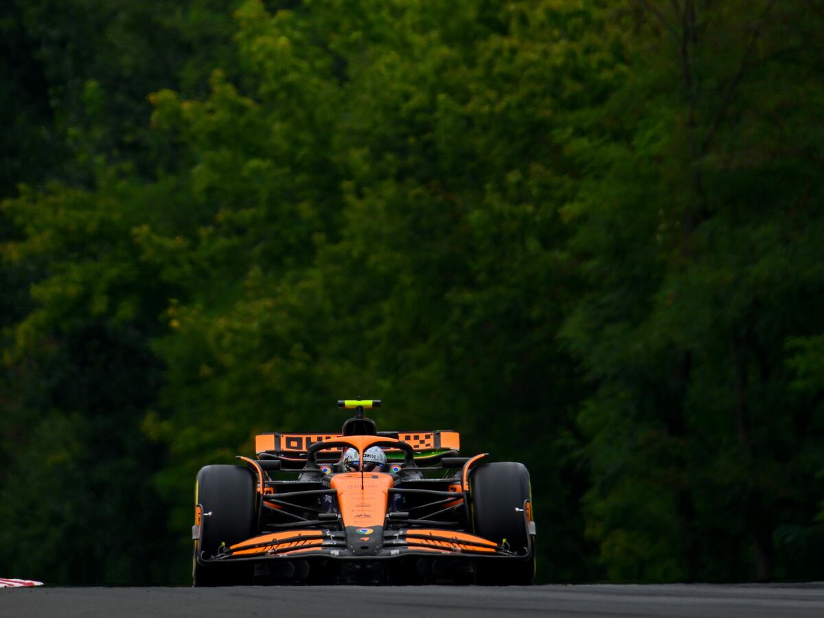 Lando Norris secures fastest time in final practice for Hungarian Grand Prix