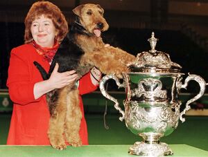 which dog won best in show at crufts 2019