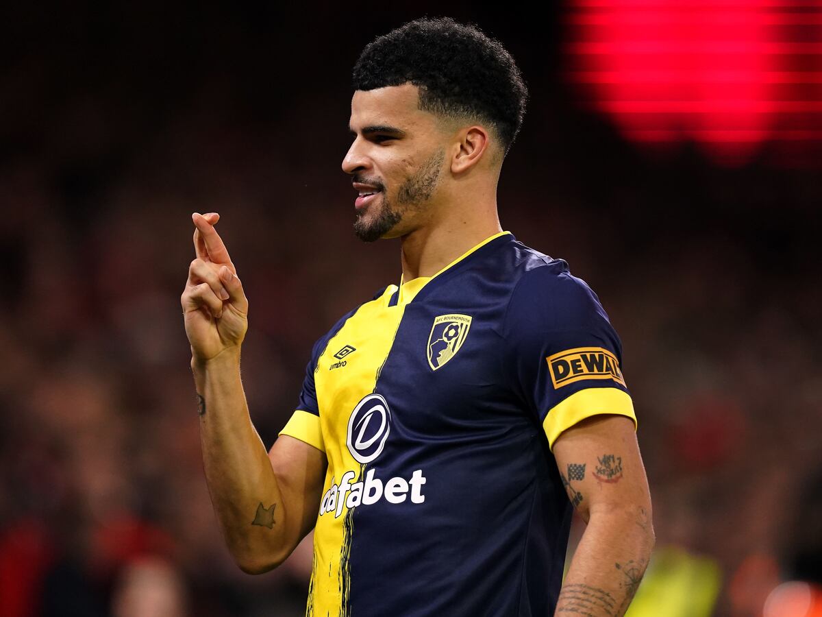 Dominic Solanke can help push Tottenham into top four – Les Ferdinand