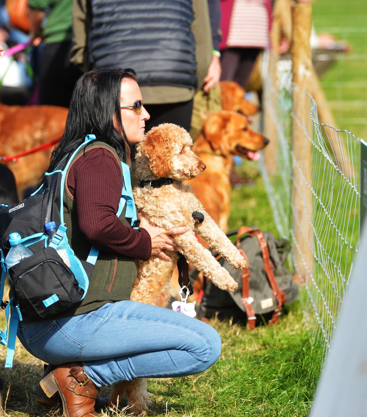 Thousands enjoy returning Country Fair at Weston Park Shropshire Star