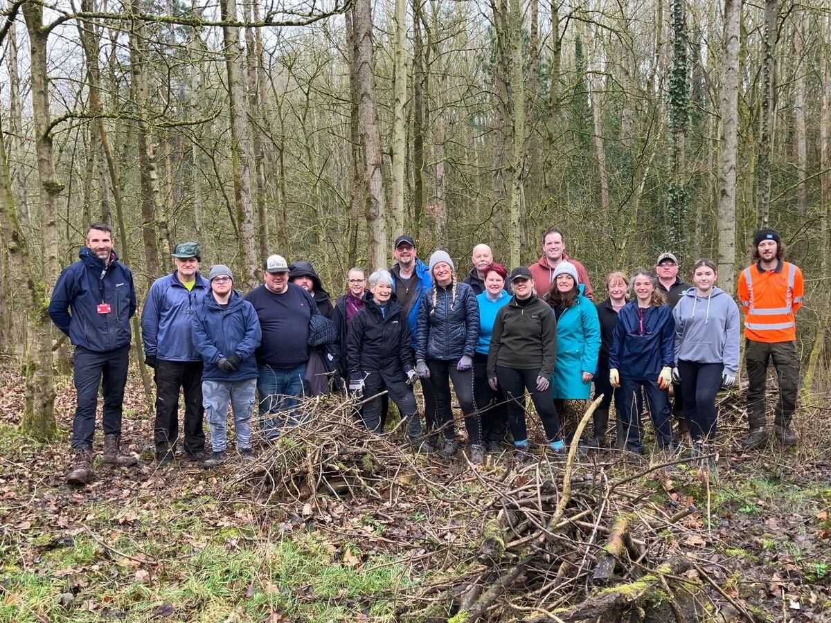 Telford nature reserve set to blossom after bulb planting sessions ...