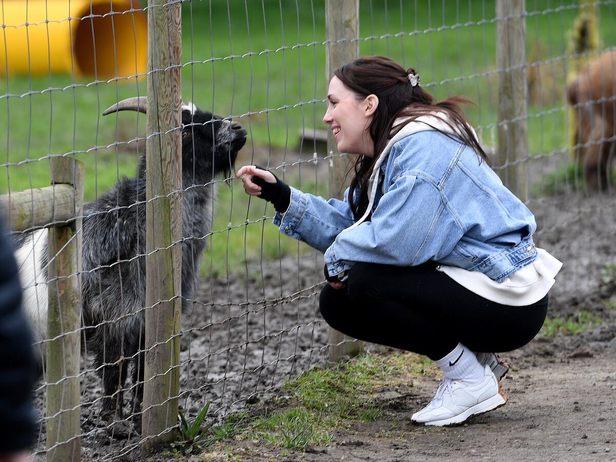 We visited the Telford zoo named second best in the country and found a ...