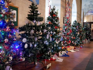 A small number of the wonderful trees at the festival. Image: Andy Compton