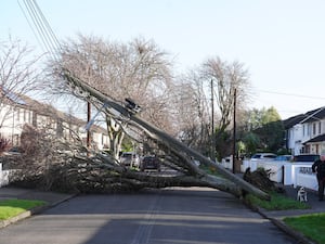 A fallen tree and telegraph pole on Grove Park Drive in Dublin