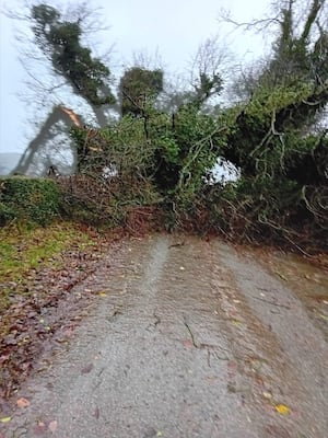 A tree fell in the road between Glyn Ceiriog and Selattyn. Picture: John D Pierson