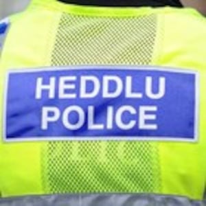 Dyfed-Powys Police’s biggest drugs operation takes £12 million of cannabis out of the supply chain