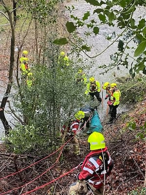 Donkey rescue: Picture: Mid and West Wales Fire Service