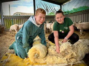 Open Farm Sunday is popular  