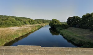 The River Tame was found to contain bee-killing pesticides