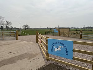 Oswestry Pooch Park opened its doors to the public on Monday (February 10). Photo: Neil Wilkinson