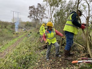 Hedge laying under way.