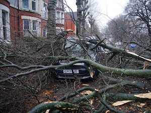 A fallen tree which landed on a car in Liverpool