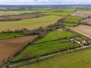 Green fields