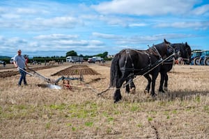 Martin Kerswell from Hampshire with his ploughing horses 