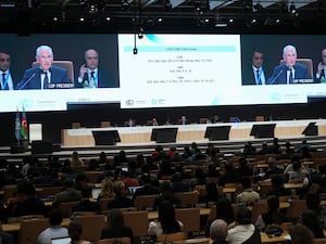 COP29 Climate Summit