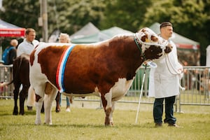 Shropshire County Agricultural Show 2024 at West Mid Showground. 