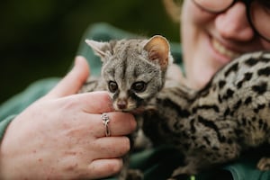 Telford Exotic Zoo Keeper Kirsten Massey with new arrivals, Jelly and Jam