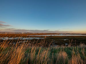 RSPB Wallasea Island Nature Reserve, Essex. (Ben Andrew/ RSPB/ PA)