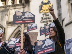 Animal welfare supporters outside the Royal Courts Of Justice in London