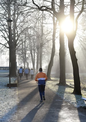 Frosty weather at Walsall Arboretum