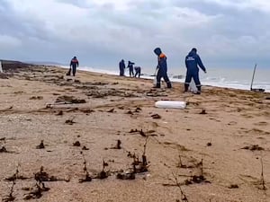 Workers clean up at a beach