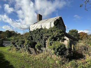 The Grade II listed cottage that is going to auction next week. Picture: Halls.