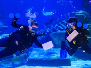 Two divers in a tank