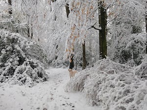 Snowy Weston Rhyn. Picture: Jill Adger.