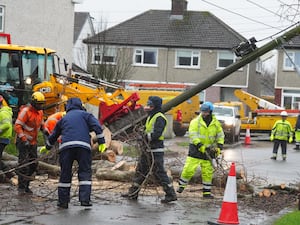 Workers clear a fallen tree in Dublin