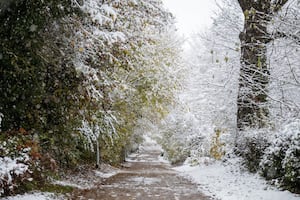 Snow fall at Telford Town Park in November