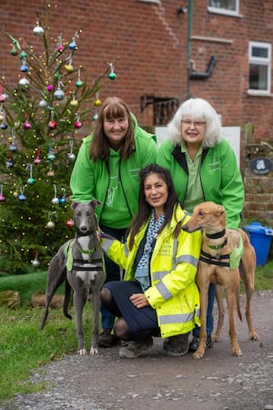 Sales Advisor Nadia joins the Greyhound Trust Shropshire and Borders