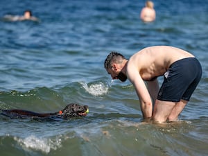 Man and dog playing ball in the sea