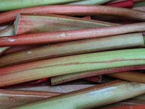 Tesco has reported that demand for forced rhubarb has rocketed by 200% compared with the same time last year. (PA)