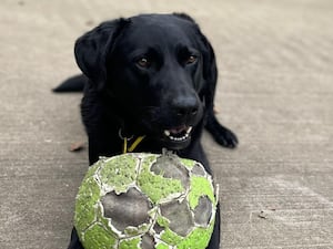 Nora is hoping her family will be as playful as she is