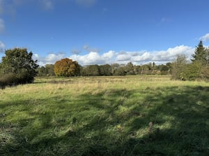 Land at the cottage extends to around half an acre. The Grade II listed cottage is going to auction on Friday, November 29. Picture: Halls.