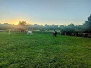 Equestrian land and facilities has been listed for sale in Newport. Picture: Rightmove and Davies White & Perry.