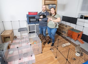 B&DWM - SGB-9414 - Gary and Natalies rabbits Geoff, George, and Lola enjoy their own room