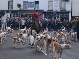 Huntsman Shaun Marles with the hounds.