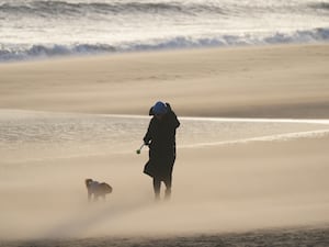 A person walking their dog on a wind swept beach at Tynemouth Longsands