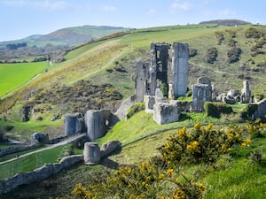 National Trust annual report