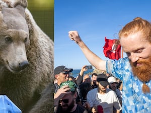 (left) A bear with a shaved head and (right) a man celebrating