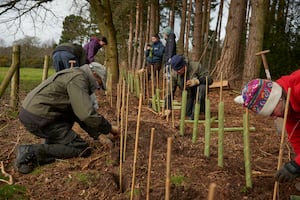 National Trust Images/Trevor Ray Hart