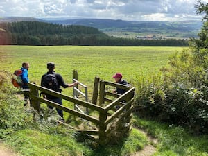 There will be no Spring walking festival in Kington in 2025.