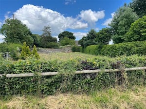 The plot of land near the English/Welsh border. Picture: Rightmove and Balfours LLP.