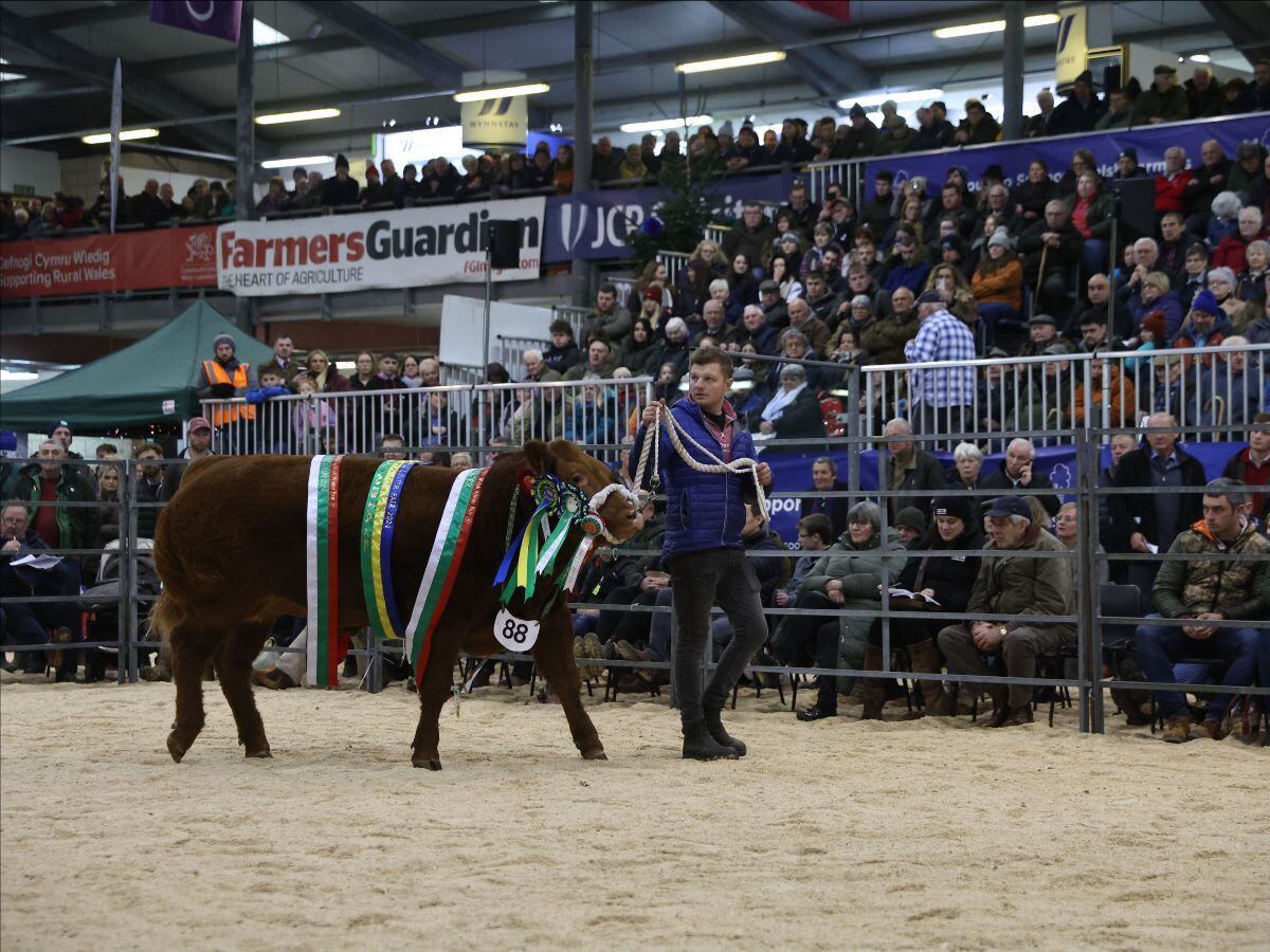 Thousands celebrate festive fun at the Royal Welsh Agricultural Winter