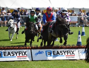 Shetland Pony Grand National will be at Newport Show next year.