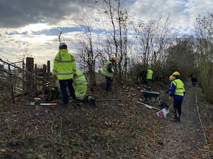 A further 74 metres of hedge has been laid by volunteers.