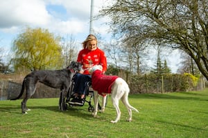 Mona the Lurcher only has one thing on her list this year, a new friend.