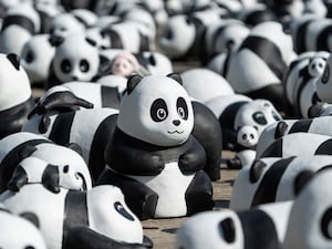 Part of 2500 panda sculptures are displayed at the Hong Kong International Airport